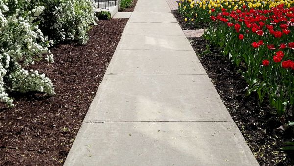 Cost of Sidewalk Concrete Replacement in Park City